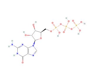 Guanosine-5&prime;-Triphosphate, Disodium salt (CAS 86-01-1) - chemical structure image