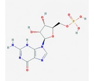 Guanosine-5&prime;-monophosphate (CAS 85-32-5) - chemical structure image