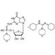 Guanosine 5′-monophosphomorpholidate 4-morpholine-N,N′-dicyclohexylcarboxamidine salt (CAS 7361-07-1) - chemical structure im