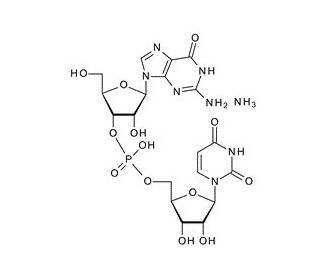 Guanylyl(3&prime; 5&prime;)uridine ammonium salt (CAS 41547-83-5) - chemical structure image