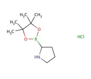 H-Boroproline Pinacol Hydrochloride - chemical structure image