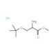 H-D-Ser(tBu)-OMe*HCl (CAS 78537-14-1) - chemical structure image