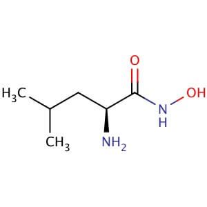 H-L-Leu-NHOH AcOH | CAS 31982-78-2 | SCBT - Santa Cruz Biotechnology