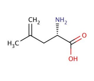 H-Leu(4,5-dehydro)-OH (CAS 87392-13-0) - chemical structure image