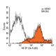 H2-Dd Antibody (34-5-8S) - Flow Cytometry - Image 14307