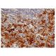 Heme Oxygenase 1/HMOX1 Antibody (F-4) - Immunohistochemistry - Image 351518 