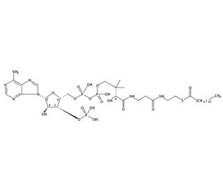 Heptadecanoyl Coenzyme A free acid - chemical structure image