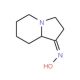 hexahydroindolizin-1(5H)-one oxime - chemical structure image
