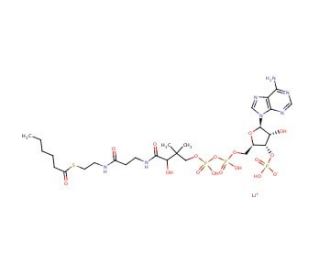 Hexanoyl coenzyme A trilithium salt (CAS 103476-19-3) - chemical structure image