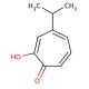 Hinokitiol (CAS 499-44-5) - chemical structure image