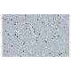 Histone cluster 1 H3D Antibody (6H8) - Immunohistochemistry - Image 64958 