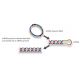 HLA-DP beta 1 siRNA and shRNA Plasmids (h2) - DICER processes dsRNA leaving a two nucleotide long 3' overhang