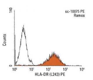 HLA-DR Antibody (L243) | SCBT - Santa Cruz Biotechnology