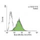 HLA-DR Antibody (TAL 15.1) - Flow Cytometry - Image 136390