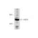 HSFX1 Antibody (5B12) - Western Blotting - Image 62607