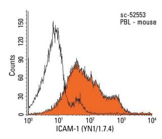 ICAM-1/CD54 Antibody (YN1/1.7.4) - Flow Cytometry - Image 13200 