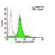 ICAM-2 Antibody (miC2-4) - Flow Cytometry - Image 6014