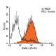 ICAM-3 Antibody (B-R1) - Flow Cytometry - Image 14441