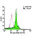 IFN-γRβ Antibody (MOB-47) - Flow Cytometry - Image 5986