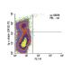 Ig κ chain Antibody (OX12) - Flow Cytometry - Image 13786