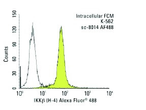 IKKβ Antibody (H-4) | SCBT - Santa Cruz Biotechnology