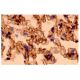 IL-2Rβ Antibody (TM-β1) - Immunohistochemistry - Image 2931