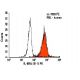 flow cytometry image from recommended IL-8RA (B-1) monoclonal antibody replacement. Image 5980