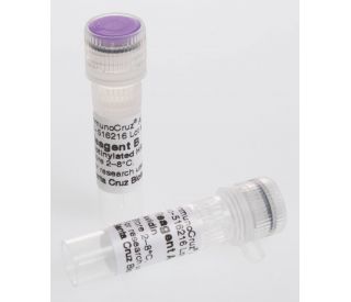ImmunoCruz® ABC Kit: sc-516216 