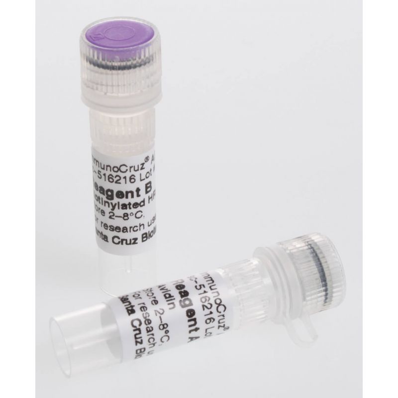 ImmunoCruz® ABC Kit SCBT Santa Cruz Biotechnology