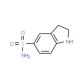 indoline-5-sulfonamide (CAS 52206-06-1) - chemical structure image
