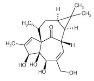 Ingenol (CAS 30220-46-3) - chemical structure image