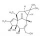 Ingenol (CAS 30220-46-3) - chemical structure image