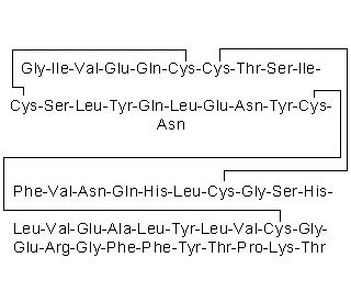 Insulin (CAS 11061-68-0) - chemical structure image 