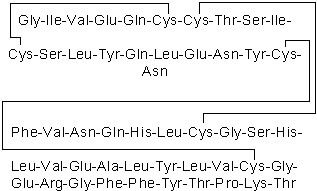 Insulin Human | CAS 11061-68-0 | SCBT - Santa Cruz Biotechnology