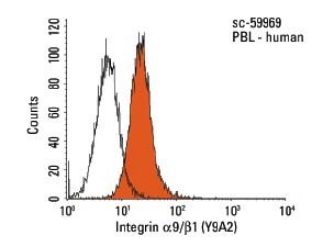 Integrin α9/β1/ITGA9/ITGB1 Antibody (Y9A2) | SCBT - Santa Cruz ...