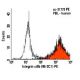 Integrin αIIb/ITGA2B/CD41 Antibody (96-2C1) - Flow Cytometry - Image 6069 