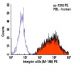 Integrin αIIb Antibody (M-148) - Flow Cytometry - Image 6071 