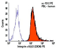 Integrin αV/β3/CD51/CD61 Antibody (23C6) | SCBT - Santa Cruz