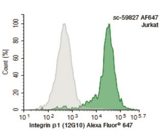 Integrin β1 Antibody (12G10) - Flow Cytometry - Image 395986