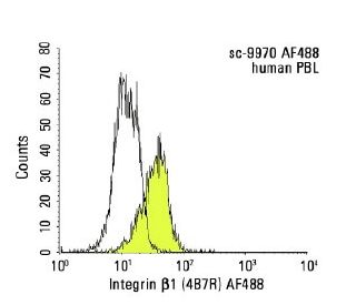 B子 Integrin β1/ITGB1 Antibody (K-20) | SCBT - Santa Cruz