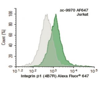 B子 integrin-beta1-antibody-4b7r-