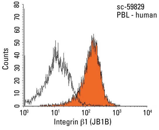 Anti-Integrin β1/ITGB1 Antibody (JB1B) | SCBT - Santa Cruz Biotechnology