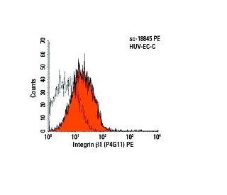 Integrin β1/ITGB1 Antibody (P4G11) | SCBT - Santa Cruz Biotechnology