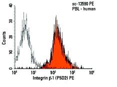 Integrin β1/ITGB1 Antibody (P5D2) | SCBT - Santa Cruz Biotechnology