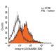 Integrin β3/ITGB3/CD61 Antibody (NaM28-7D6) - Flow Cytometry - Image 12506