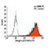 Integrin β3/ITGB3/CD61 Antibody (Y2/51) - Flow Cytometry - Image 6089