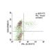 Ionomycin: sc-3592. FCM analysis of PMA: sc-3576/ Ionomycin: sc-3592 stimulated whole human blood, stained with CD69 (FN50