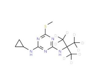 Irgarol-d9 (CAS 1189926-01-9) - chemical structure image