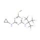 Irgarol-d9 (CAS 1189926-01-9) - chemical structure image