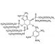 iso-Ins(1,4,5)P3/PM (caged) - chemical structure image